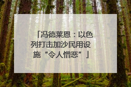 冯德莱恩：以色列打击加沙民用设施“令人憎恶”