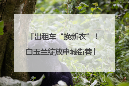 出租车“换新衣”！白玉兰绽放申城街巷
