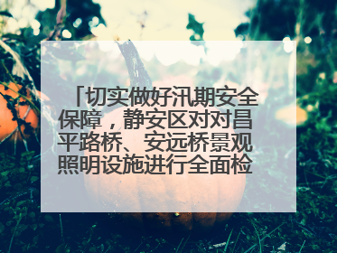 切实做好汛期安全保障，静安区对对昌平路桥、安远桥景观照明设施进行全面检查与维护