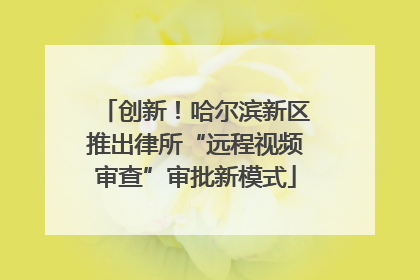 创新!哈尔滨新区推出律所“远程视频审查”审批新模式