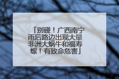 别碰！广西南宁雨后路边出现大量非洲大蜗牛和福寿螺！有致命危害