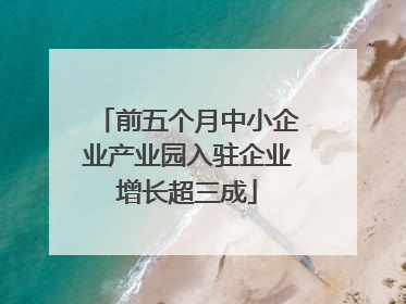 前五个月中小企业产业园入驻企业增长超三成