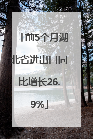 前5个月湖北省进出口同比增长26.9%