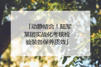 动静结合！陆军某团实战化考核检验装备保养质效