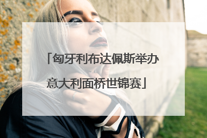 匈牙利布达佩斯举办意大利面桥世锦赛