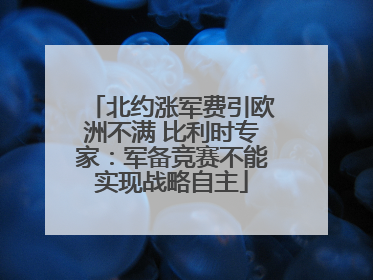 北约涨军费引欧洲不满 比利时专家：军备竞赛不能实现战略自主