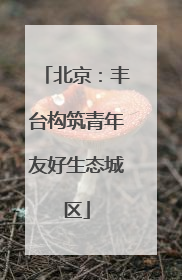 北京：丰台构筑青年友好生态城区