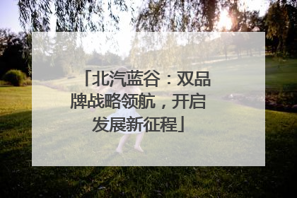 北汽蓝谷：双品牌战略领航，开启发展新征程