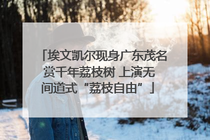 埃文凯尔现身广东茂名 赏千年荔枝树 上演无间道式“荔枝自由”