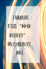 埇桥区：打造“种业科技谷” 助力强农兴种