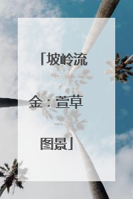 坡岭流金：萱草图景