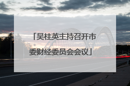 吴桂英主持召开市委财经委员会会议