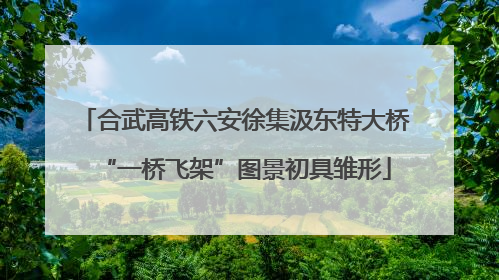 合武高铁六安徐集汲东特大桥“一桥飞架”图景初具雏形