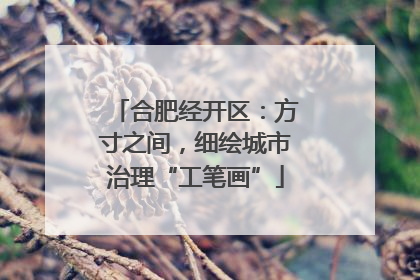 合肥经开区：方寸之间，细绘城市治理“工笔画”