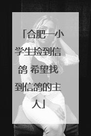 合肥一小学生捡到信鸽 希望找到信鸽的主人