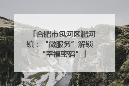 合肥市包河区淝河镇：“微服务”解锁“幸福密码”