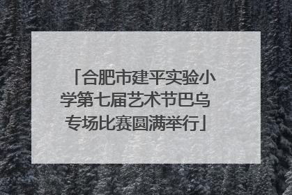 合肥市建平实验小学第七届艺术节巴乌专场比赛圆满举行