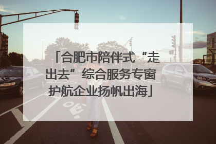 合肥市陪伴式“走出去”综合服务专窗护航企业扬帆出海