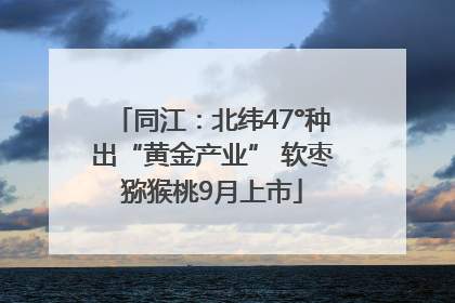 同江：北纬47°种出“黄金产业” 软枣猕猴桃9月上市