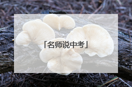 名师说中考