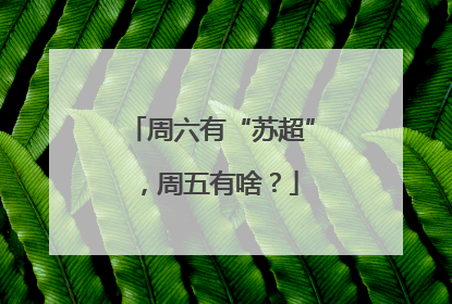周六有“苏超”，周五有啥？