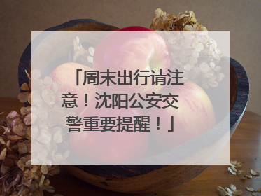 周末出行请注意!沈阳公安交警重要提醒!