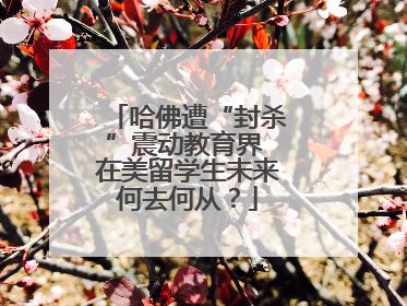 哈佛遭“封杀”震动教育界 在美留学生未来何去何从？