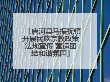 唐河县马振抚镇开展民族宗教政策法规宣传 营造团结和谐氛围