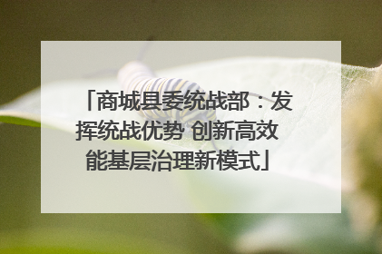 商城县委统战部：发挥统战优势 创新高效能基层治理新模式