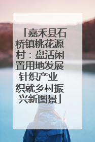 嘉禾县石桥镇桃花源村：盘活闲置用地发展针织产业 织就乡村振兴新图景