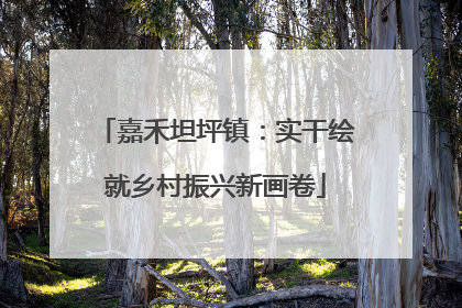 嘉禾坦坪镇：实干绘就乡村振兴新画卷