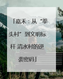 嘉禾：从“拳头村”到文明标杆 清水村的逆袭密码