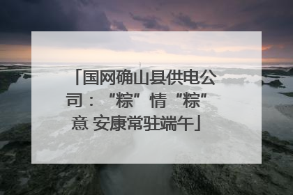 国网确山县供电公司：“粽”情“粽”意 安康常驻端午