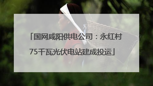 国网咸阳供电公司：永红村75千瓦光伏电站建成投运