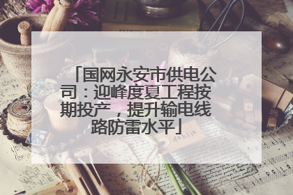 国网永安市供电公司：迎峰度夏工程按期投产，提升输电线路防雷水平