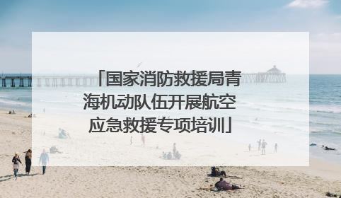 国家消防救援局青海机动队伍开展航空应急救援专项培训