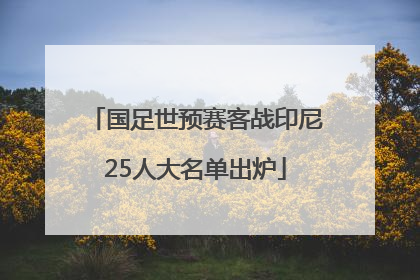 国足世预赛客战印尼25人大名单出炉