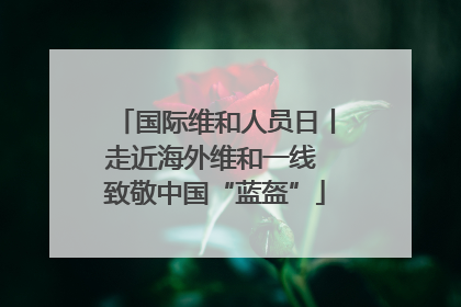 国际维和人员日丨走近海外维和一线 致敬中国“蓝盔”