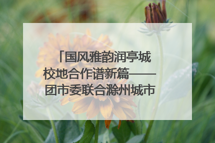 国风雅韵润亭城 校地合作谱新篇——团市委联合滁州城市职业学院助力传统文化“破圈”绽放