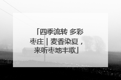 四季流转 多彩枣庄｜麦香染夏，来听枣地丰歌
