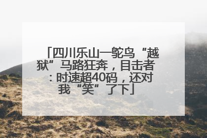 四川乐山一鸵鸟“越狱”马路狂奔，目击者：时速超40码，还对我“笑”了下