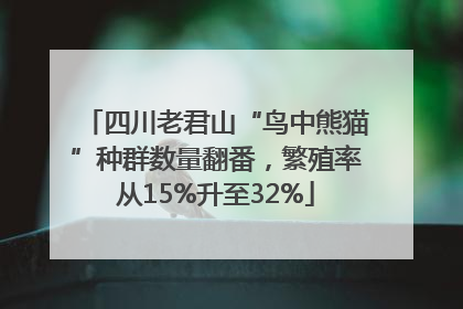 四川老君山“鸟中熊猫”种群数量翻番，繁殖率从15%升至32%
