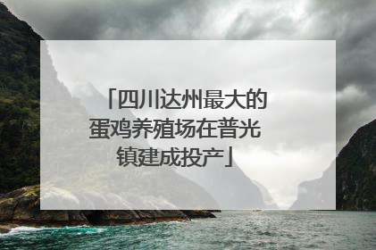 四川达州最大的蛋鸡养殖场在普光镇建成投产