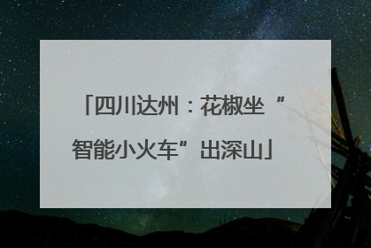 四川达州：花椒坐“智能小火车”出深山