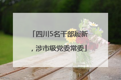四川5名干部履新，涉市级党委常委