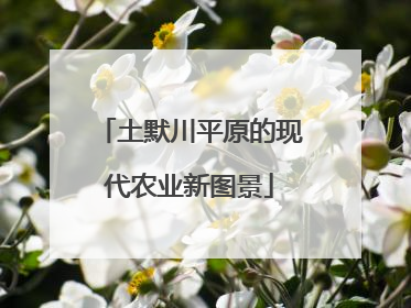 土默川平原的现代农业新图景