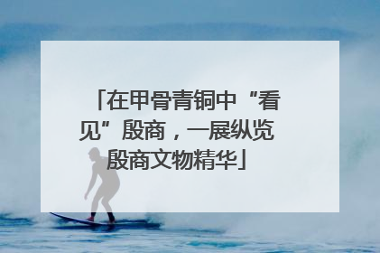 在甲骨青铜中“看见”殷商，一展纵览殷商文物精华