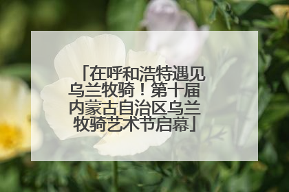 在呼和浩特遇见乌兰牧骑！第十届内蒙古自治区乌兰牧骑艺术节启幕