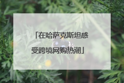 在哈萨克斯坦感受跨境网购热潮