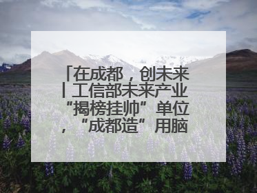 在成都，创未来丨工信部未来产业“揭榜挂帅”单位，“成都造”用脑机接口技术造福孤独症儿童